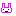 ウサギ