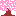 桜の木