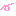 しっぽ