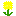 たんぽぽ