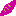 紫いも