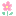 hana