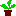 鉢植え