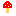 キノコ†