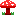 kinoko