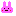 ウサギ♪