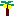 ヤシの木