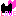 黒猫