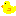 ピヨコ