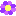 お花