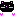 モルモット（・・・のつもり）