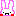 うさぎ