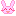 ＾ｖ＾　うさぎさん