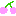 さくらんぼ