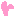 ｒ