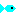 魚