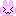 うさぎ　わーい