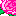 バラ