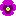 パンジ　ピンク