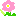 ペチュニア　ピンク