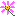 コスモス