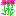 エキナセア