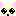 クリームチワワ２