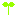 芽