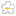 白梅の花