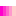 PINKの虹