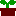 芽