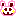 kuma