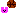 うさぴょん