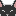 ネコ