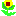 ひまわり