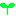 芽