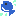 魚