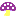 きのこ