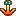 ↓