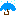 カサ