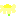 カモミール