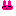 うさぎ