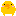 ひよこ!?