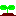 芽