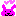 ウサギ