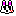 うさぎ