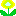 たんぽぽ