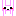 うさぎ