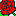 薔薇