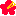 ハイビスカス